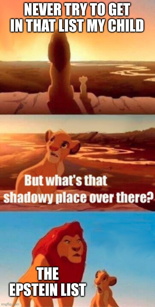 Simba Shadowy Place Meme | NEVER TRY TO GET IN THAT LIST MY CHILD; THE EPSTEIN LIST | image tagged in memes,simba shadowy place | made w/ Imgflip meme maker