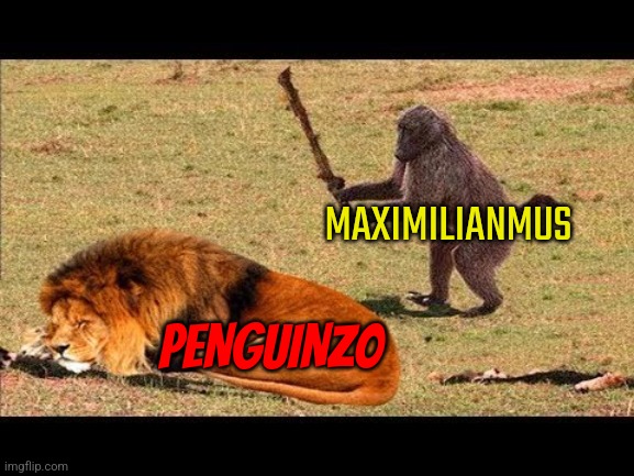 monkey hit lion tree | MAXIMILIANMUS; PENGUINZ0 | image tagged in monkey hit lion tree | made w/ Imgflip meme maker