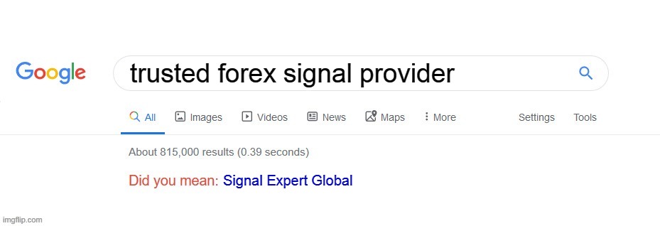 Did you mean? | trusted forex signal provider; Signal Expert Global | image tagged in did you mean | made w/ Imgflip meme maker