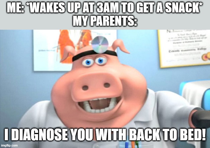 Anyone relate to this? | ME: *WAKES UP AT 3AM TO GET A SNACK*
MY PARENTS:; I DIAGNOSE YOU WITH BACK TO BED! | image tagged in i diagnose you with dead,back to bed,farmyard,lol,snacks | made w/ Imgflip meme maker