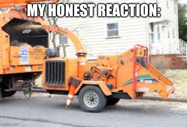 Woodchipper | MY HONEST REACTION: | image tagged in woodchipper | made w/ Imgflip meme maker