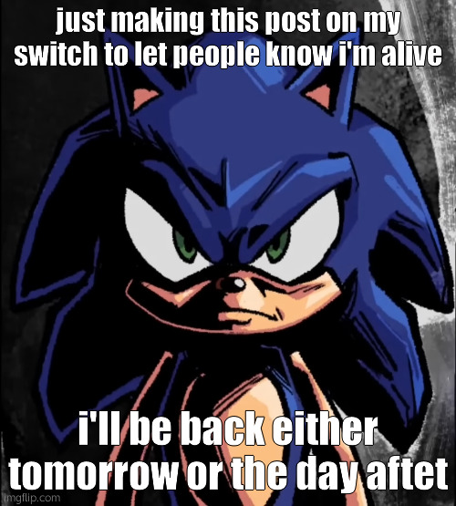 sonic staring at you | just making this post on my switch to let people know i'm alive; i'll be back either tomorrow or the day aftet | image tagged in sonic staring at you | made w/ Imgflip meme maker