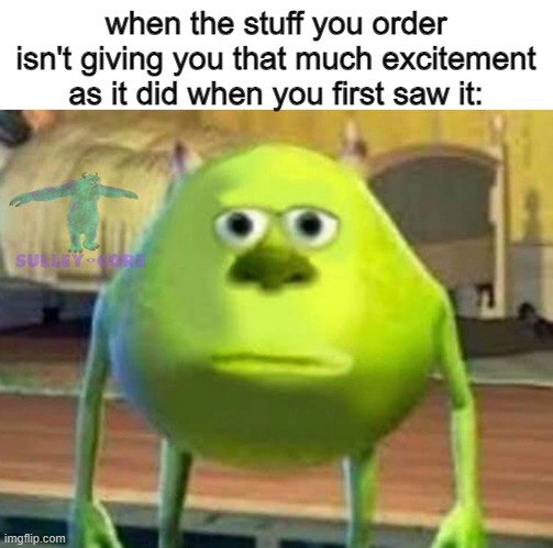 this feeling is so annoying | when the stuff you order isn't giving you that much excitement as it did when you first saw it: | image tagged in monsters inc,why are you reading this,idk,oh god why | made w/ Imgflip meme maker