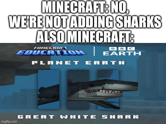 The closest thing to having sharks in minecraft | MINECRAFT: NO, WE’RE NOT ADDING SHARKS
ALSO MINECRAFT: | image tagged in blank white template | made w/ Imgflip meme maker