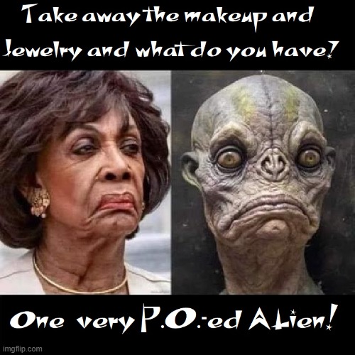 They Walk Among Us | image tagged in vince vance,maxine waters,memes,angry,aliens,alien invasion | made w/ Imgflip meme maker