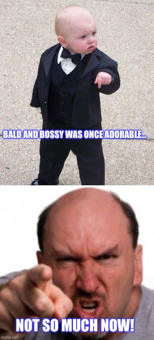 BALD AND BOSSY WAS ONCE ADORABLE…; NOT SO MUCH NOW! | image tagged in memes,baby godfather,angry bald man pointing at you | made w/ Imgflip meme maker