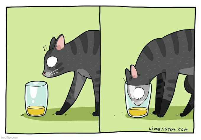 A Cat's Way Of Thinking | image tagged in memes,comics/cartoons,cats,drinking,i will,get it | made w/ Imgflip meme maker