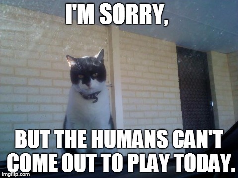 I'M SORRY, BUT THE HUMANS CAN'T COME OUT TO PLAY TODAY. | image tagged in i'm sorry but | made w/ Imgflip meme maker