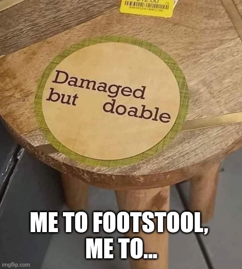 Me to... | ME TO FOOTSTOOL, 
ME TO... | image tagged in funny memes | made w/ Imgflip meme maker