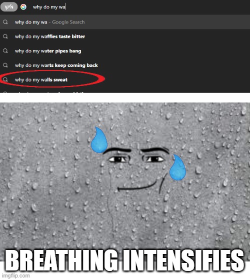 Bro, walls can sense things | BREATHING INTENSIFIES | image tagged in google search,bruh moment,oh god why | made w/ Imgflip meme maker