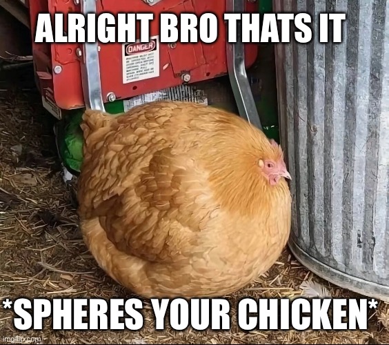 Missed the pokeball | ALRIGHT BRO THATS IT; *SPHERES YOUR CHICKEN* | image tagged in chicken,no more,sphere | made w/ Imgflip meme maker