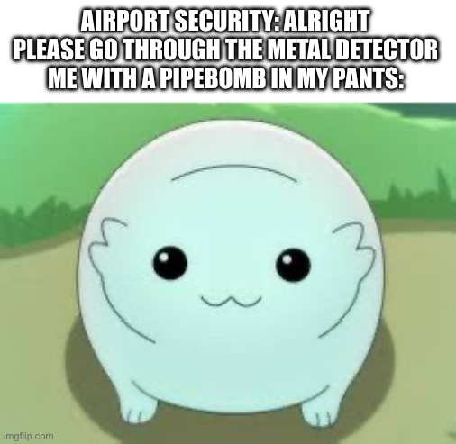 which one beeped first? | AIRPORT SECURITY: ALRIGHT PLEASE GO THROUGH THE METAL DETECTOR
ME WITH A PIPEBOMB IN MY PANTS: | image tagged in pipe bomb,airport,my honest reaction | made w/ Imgflip meme maker