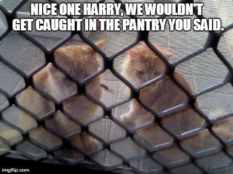 NICE ONE HARRY, WE WOULDN'T GET CAUGHT IN THE PANTRY YOU SAID. | image tagged in nice one harry | made w/ Imgflip meme maker