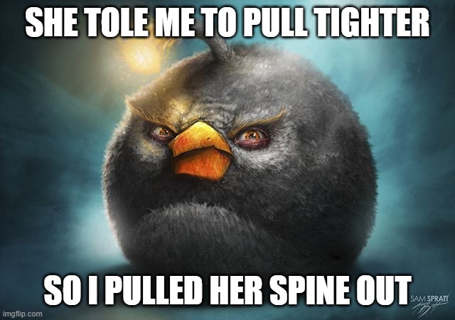 angry birds bomb | SHE TOLE ME TO PULL TIGHTER SO I PULLED HER SPINE OUT | image tagged in angry birds bomb | made w/ Imgflip meme maker