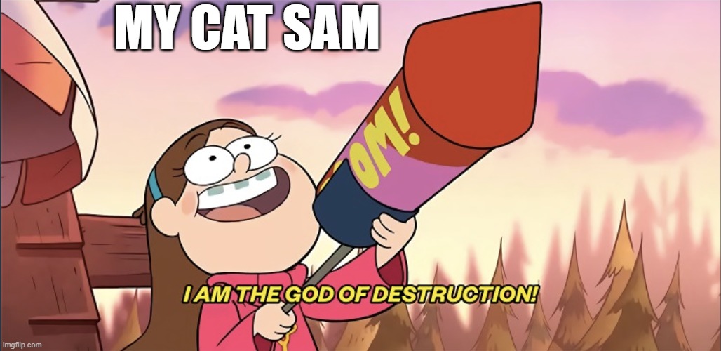 My cat Sam likes to destroy things | MY CAT SAM | image tagged in i am the god of destruction | made w/ Imgflip meme maker