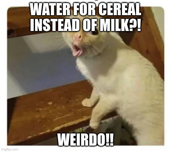 Coughing Cat | WATER FOR CEREAL INSTEAD OF MILK?! WEIRDO!! | image tagged in coughing cat | made w/ Imgflip meme maker