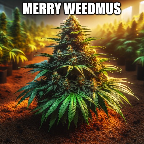 Merry weedmus | MERRY WEEDMUS | image tagged in merry weedmus | made w/ Imgflip meme maker