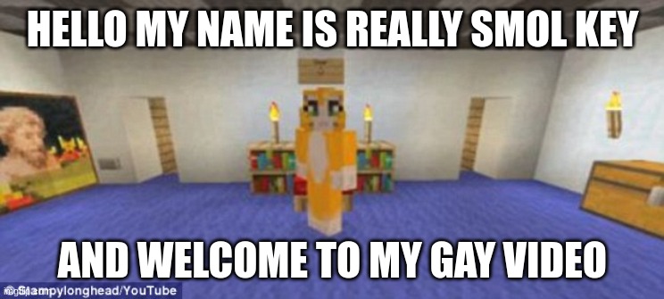 Stampy | HELLO MY NAME IS REALLY SMOL KEY; AND WELCOME TO MY GAY VIDEO | image tagged in stampy | made w/ Imgflip meme maker