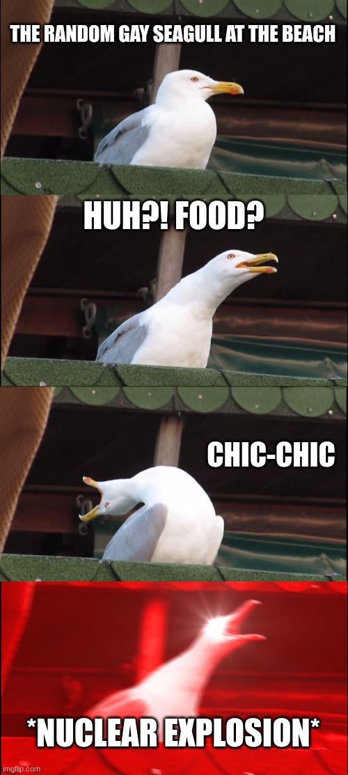 The beach fr | THE RANDOM GAY SEAGULL AT THE BEACH; HUH?! FOOD? CHIC-CHIC; *NUCLEAR EXPLOSION* | image tagged in memes,inhaling seagull | made w/ Imgflip meme maker