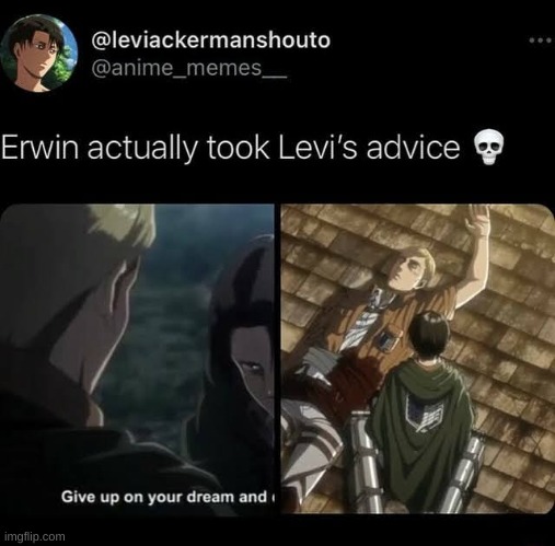bro. | image tagged in levi,erwin,snk,aot,memes,attack on titan | made w/ Imgflip meme maker