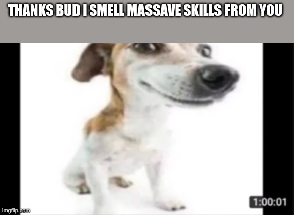 THANKS BUD I SMELL MASSAVE SKILLS FROM YOU | made w/ Imgflip meme maker