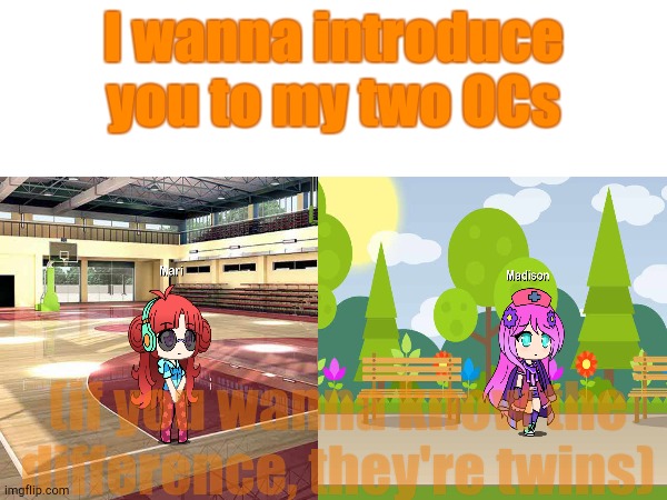 Introducing the Twins | I wanna introduce you to my two OCs; (if you wanna know the difference, they're twins) | made w/ Imgflip meme maker