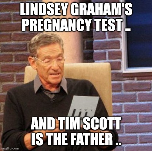 Lindsey | LINDSEY GRAHAM'S PREGNANCY TEST .. AND TIM SCOTT IS THE FATHER .. | image tagged in memes,maury lie detector | made w/ Imgflip meme maker