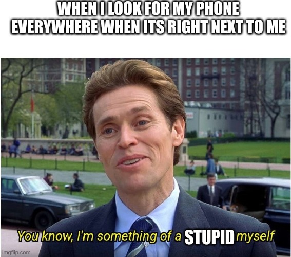 when i lose my phone | WHEN I LOOK FOR MY PHONE EVERYWHERE WHEN ITS RIGHT NEXT TO ME; STUPID | image tagged in you know i'm something of a _ myself | made w/ Imgflip meme maker