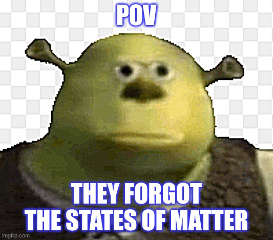 POV; THEY FORGOT THE STATES OF MATTER | image tagged in shrek | made w/ Imgflip meme maker