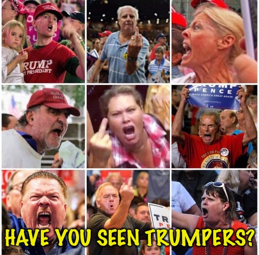 Triggered Trump supporters | HAVE YOU SEEN TRUMPERS? | image tagged in triggered trump supporters | made w/ Imgflip meme maker