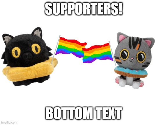 Cat plushies!!! | SUPPORTERS! BOTTOM TEXT | image tagged in blank white template | made w/ Imgflip meme maker