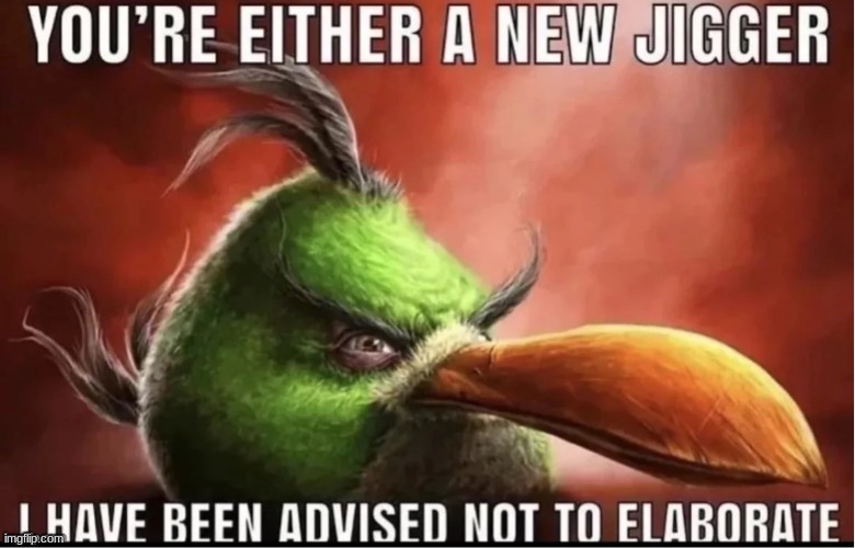 you’re either a new jigger i have been advised not to elaborate | image tagged in you re either a new jigger i have been advised not to elaborate | made w/ Imgflip meme maker