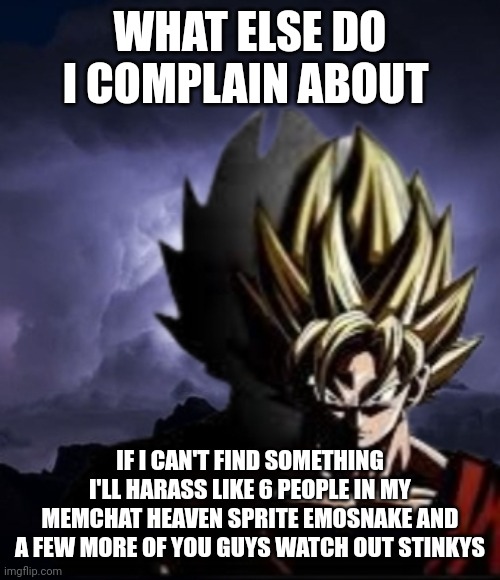 LowTeirGoku | WHAT ELSE DO I COMPLAIN ABOUT; IF I CAN'T FIND SOMETHING I'LL HARASS LIKE 6 PEOPLE IN MY MEMCHAT HEAVEN SPRITE EMOSNAKE AND A FEW MORE OF YOU GUYS WATCH OUT STINKYS | image tagged in lowteirgoku | made w/ Imgflip meme maker