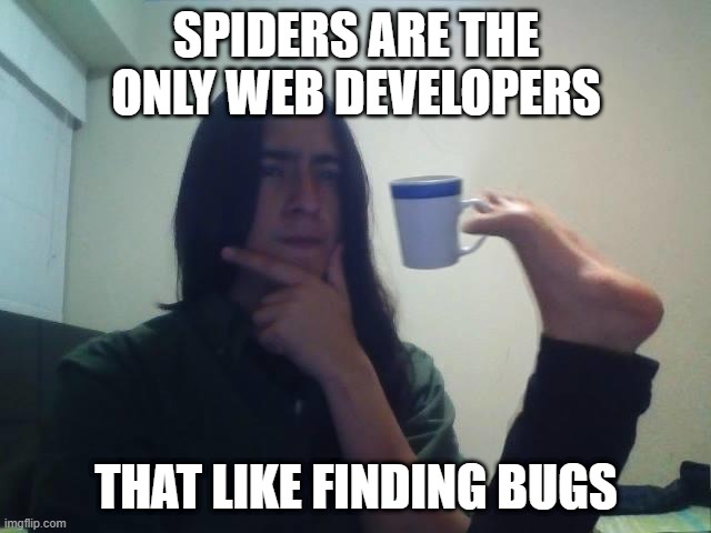 Hmmmm | SPIDERS ARE THE ONLY WEB DEVELOPERS; THAT LIKE FINDING BUGS | image tagged in hmmmm | made w/ Imgflip meme maker