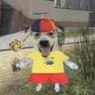 High Quality Dog with lollipop and propeller hat Blank Meme Template