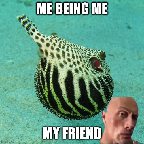 ME BEING ME; MY FRIEND | made w/ Imgflip meme maker