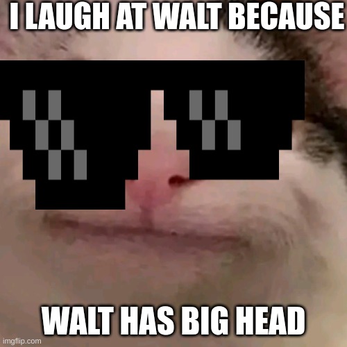 Beluga | I LAUGH AT WALT BECAUSE; WALT HAS BIG HEAD | image tagged in beluga | made w/ Imgflip meme maker