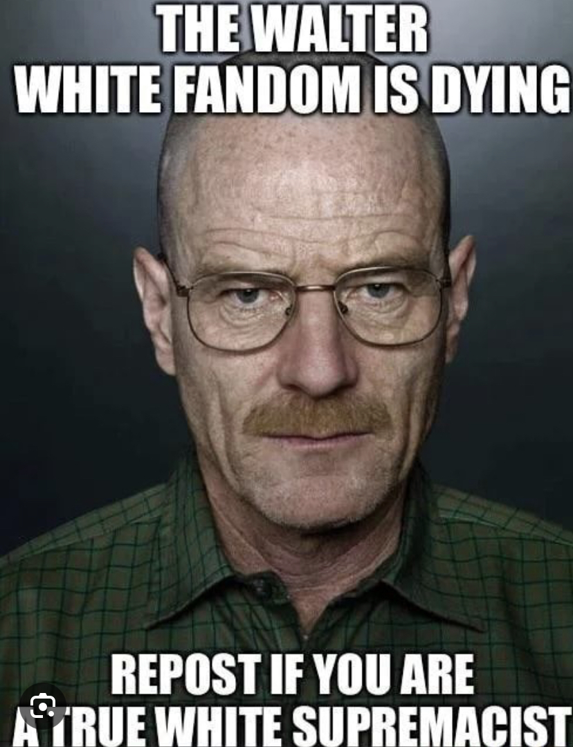 Walter white fandom is dying Blank Meme Template