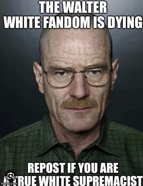 I made it a temp | image tagged in walter white fandom is dying | made w/ Imgflip meme maker