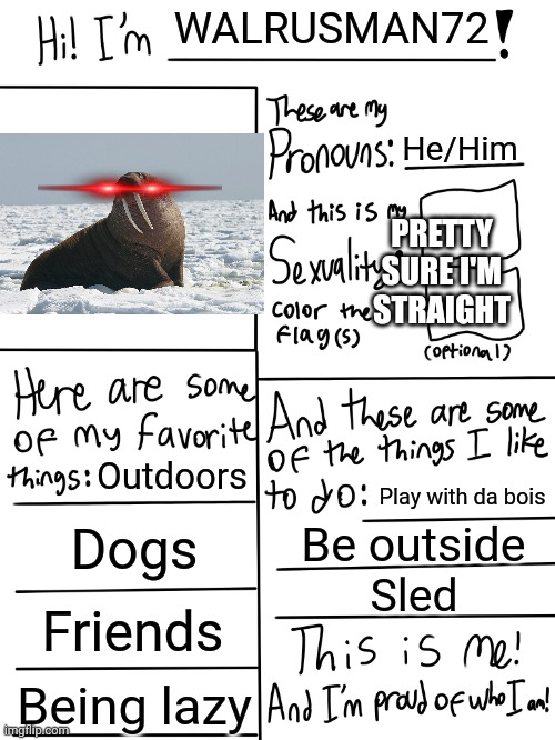 Don't bully me | WALRUSMAN72; He/Him; PRETTY SURE I'M STRAIGHT; Outdoors; Play with da bois; Dogs; Be outside; Sled; Friends; Being lazy | image tagged in lgbtq stream account profile | made w/ Imgflip meme maker