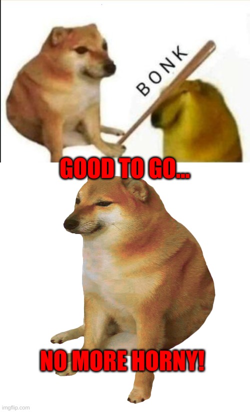 NO MORE HORNY! GOOD TO GO... | image tagged in doge bonk,cheems | made w/ Imgflip meme maker