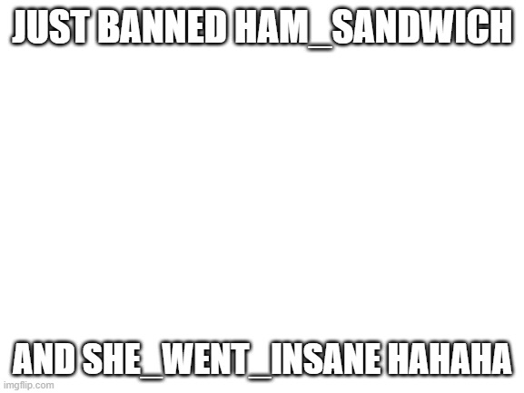 HAHAH | JUST BANNED HAM_SANDWICH; AND SHE_WENT_INSANE HAHAHA | image tagged in blank white template | made w/ Imgflip meme maker