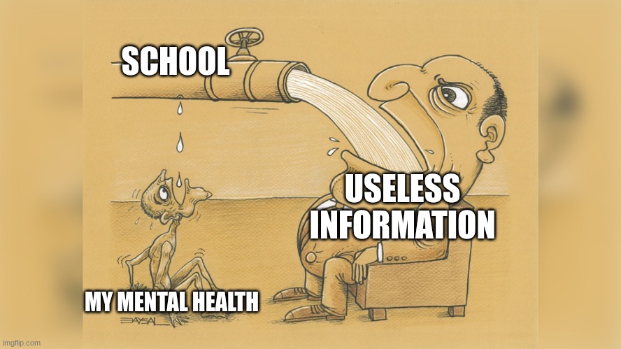 school. | SCHOOL; USELESS INFORMATION; MY MENTAL HEALTH | image tagged in man with a lot of water | made w/ Imgflip meme maker