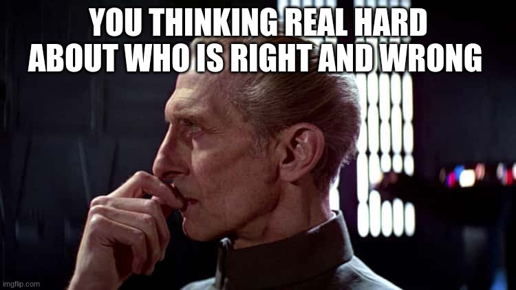 grand moff tarkin | YOU THINKING REAL HARD ABOUT WHO IS RIGHT AND WRONG | image tagged in grand moff tarkin | made w/ Imgflip meme maker