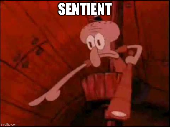 SENTIENT | image tagged in squidward pointing | made w/ Imgflip meme maker