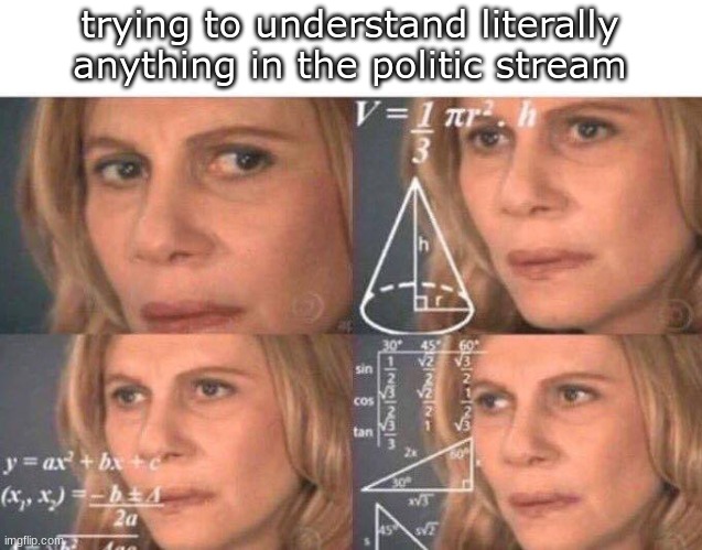 like wdymm | trying to understand literally anything in the politic stream | image tagged in math lady/confused lady | made w/ Imgflip meme maker
