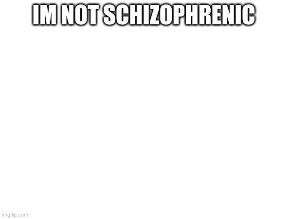 im not schizophrenic | IM NOT SCHIZOPHRENIC | image tagged in why would they do that | made w/ Imgflip meme maker