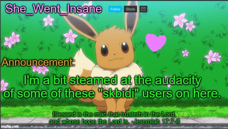 She_Went_Insane's *new* announcement template | Announcement:; I'm a bit steamed at the audacity of some of these "skbidi" users on here. | image tagged in she_went_insane's new announcement template | made w/ Imgflip meme maker