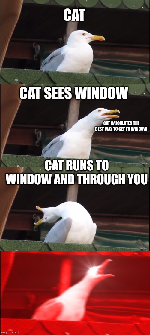 Cats be like | CAT; CAT SEES WINDOW; CAT CALCULATES THE BEST WAY TO GET TO WINDOW; CAT RUNS TO WINDOW AND THROUGH YOU | image tagged in memes,inhaling seagull,cats | made w/ Imgflip meme maker