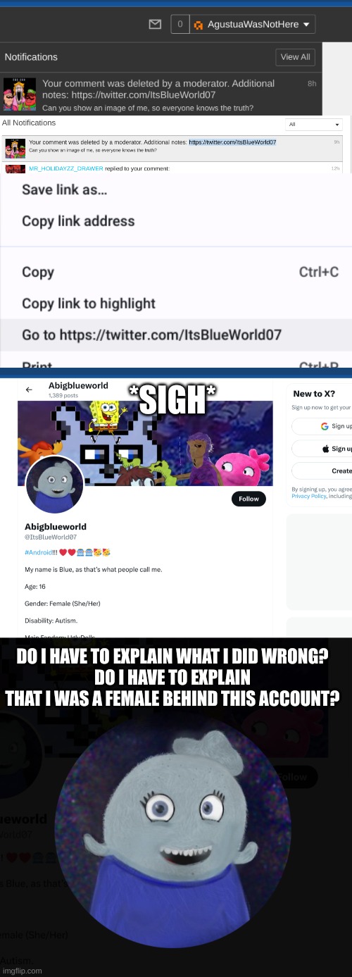 sad announcement | *SIGH*; DO I HAVE TO EXPLAIN WHAT I DID WRONG?
DO I HAVE TO EXPLAIN THAT I WAS A FEMALE BEHIND THIS ACCOUNT? | made w/ Imgflip meme maker